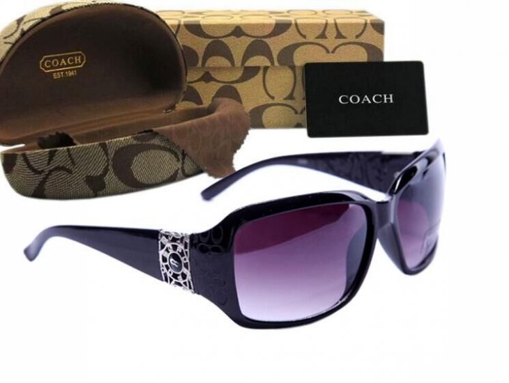 Coach Sunglasses 8004 | Women